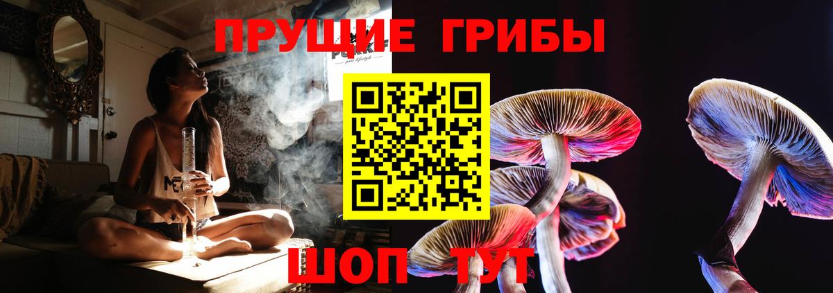 Галлюциногенные грибы прущие грибы  что такое наркотик  Белогорск  Вход с VPN  Псилоцибиновые грибы ЛСД 